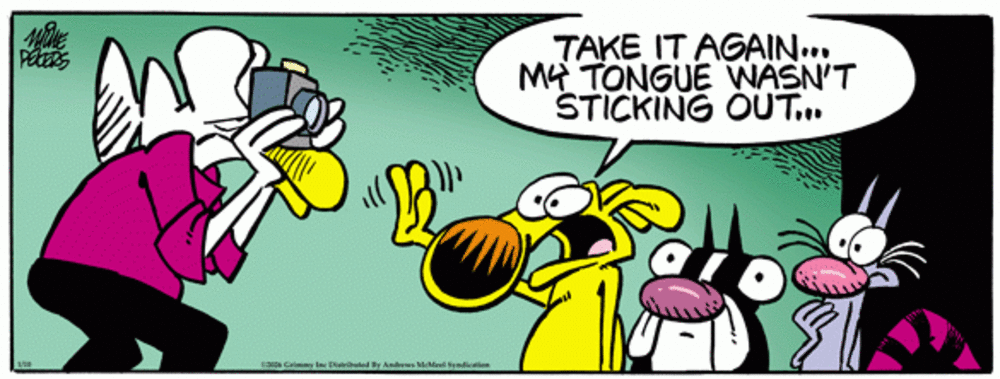 Mother Goose and Grimm